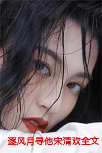 宋清欢秦时臻