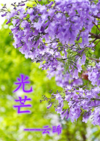 陈天苏晚月全文免费阅读完整版
