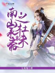 宁夜辰洛如缨笔趣阁
